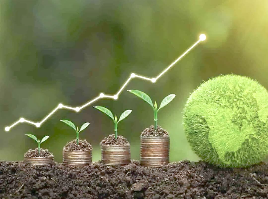 Investissement responsable symbolisé par des pièces et des jeunes plants en croissance